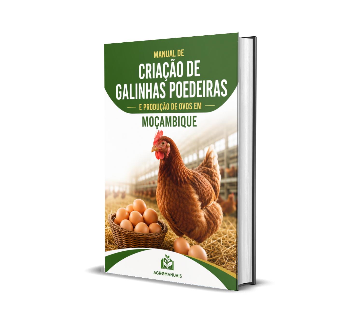 Manual de Criação de Galinhas Poedeiras em Moçambique